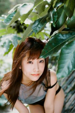 爱情有多美
